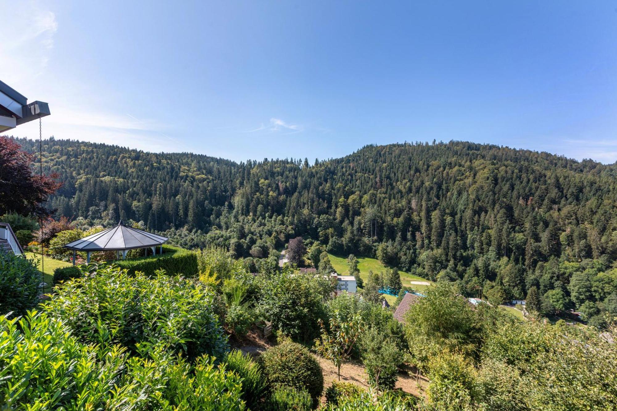 شقة Triberg Blick تيبرغ المظهر الخارجي الصورة